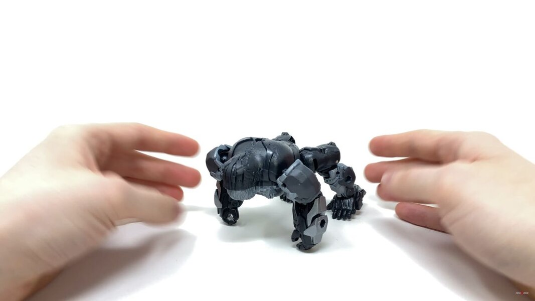 Transformers Rise Of The Beasts Optimus Primal Tigatron In Hand Image  (13 of 35)